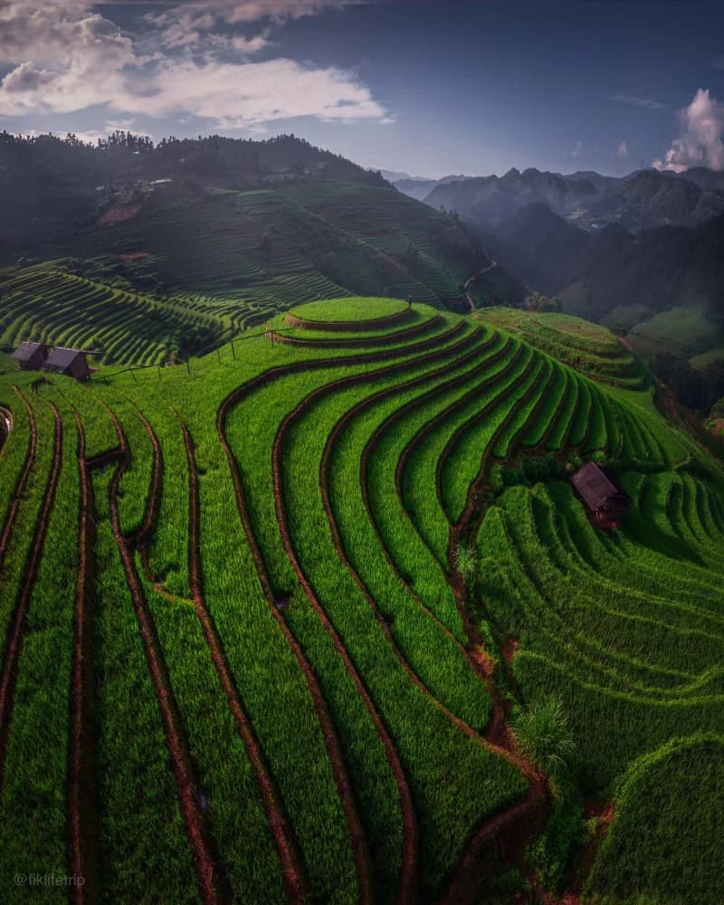 https://res.cloudinary.com/dft2eqhlr/image/upload/v1735913861/MUCANG-CHAI-06_rsfpgd.webp